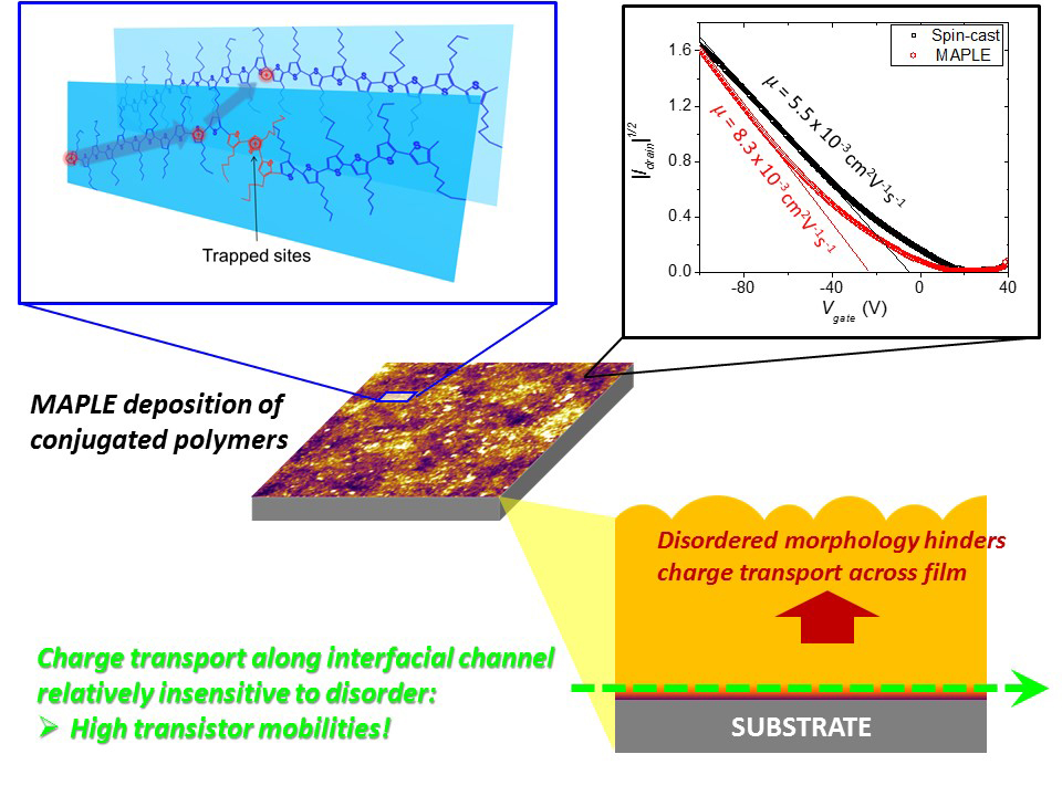 Morphological Disorder Affects Charge Carrier Movement in Conjugated Polymer Films